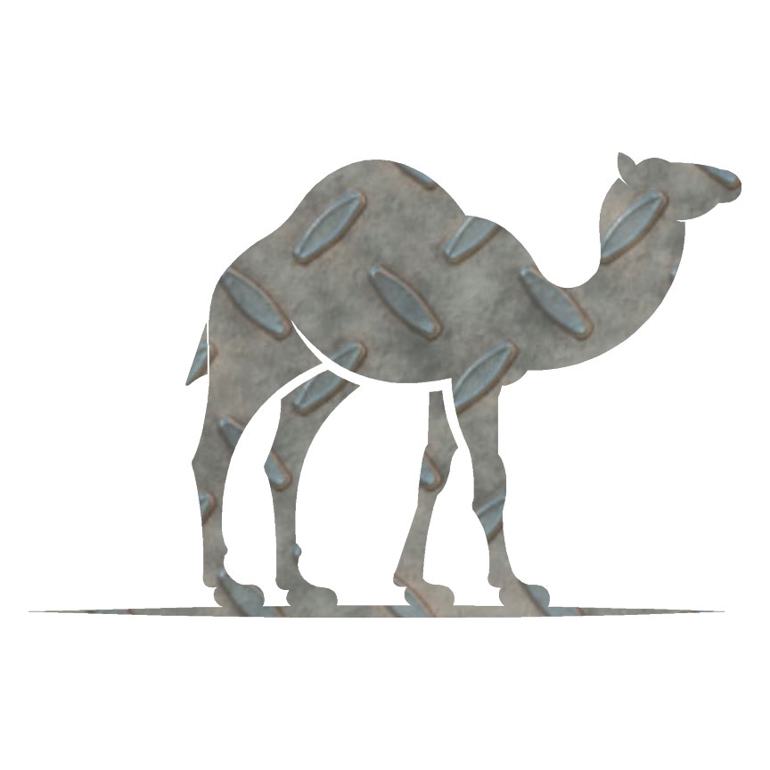 Camel, Vinyl Decal Sticker, 40 Patterns & 3 Sizes, #6618 | eBay